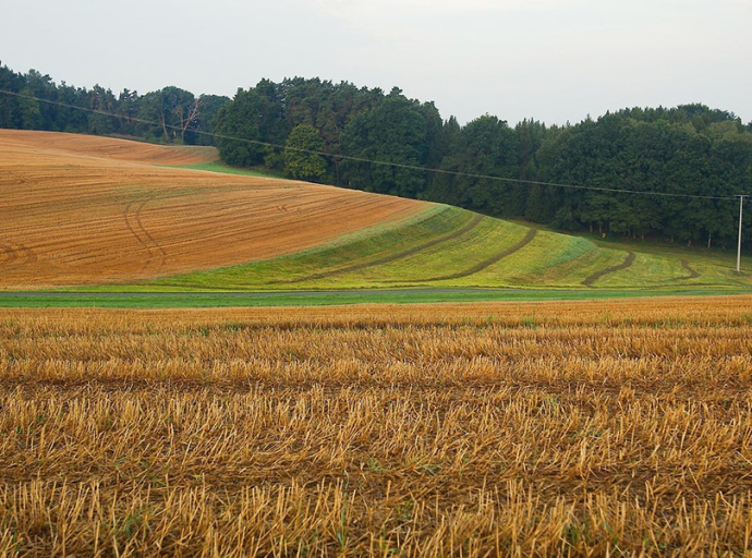Mezőgazdasági összeírás